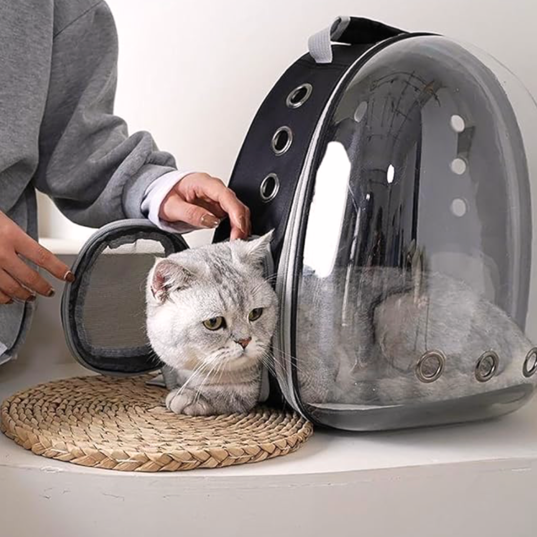 Bubble Backpack Carrier My Store